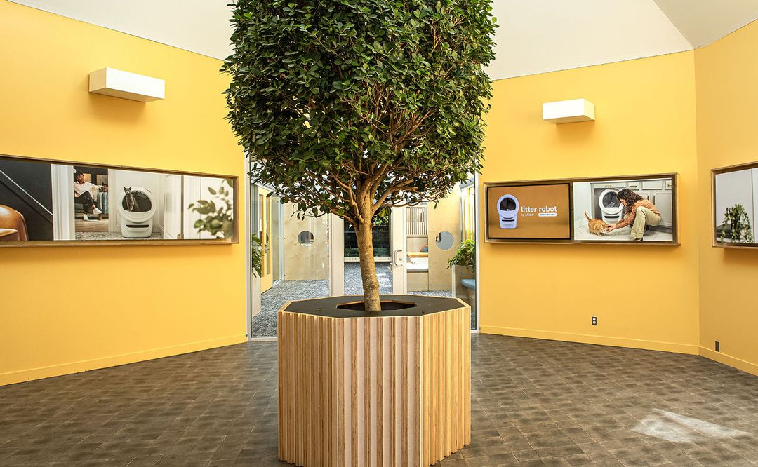 Whisker Headquarters